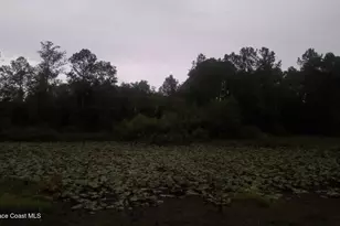 125 Moiser Ln, Melrose, FL 32666 - Photo 62