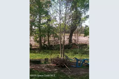 125 Moiser Lane, Melrose, FL 32666 - Photo 32