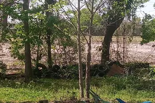 125 Moiser Ln, Melrose, FL 32666 - Photo 32