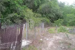 125 Moiser Ln, Melrose, FL 32666 - Photo 26