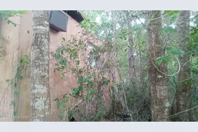 125 Moiser Lane, Melrose, FL 32666 - Photo 48