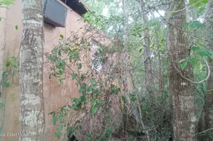 125 Moiser Ln, Melrose, FL 32666 - Photo 48