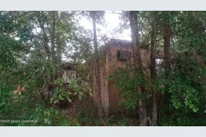 125 Moiser Lane, Melrose, FL 32666 - Photo 44