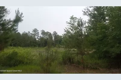 125 Moiser Lane, Melrose, FL 32666 - Photo 58