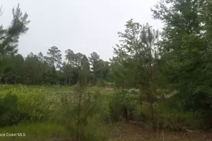 125 Moiser Ln, Melrose, FL 32666 - Photo 58