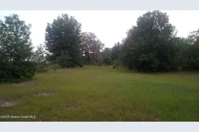 125 Moiser Lane, Melrose, FL 32666 - Photo 52