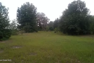 125 Moiser Ln, Melrose, FL 32666 - Photo 52