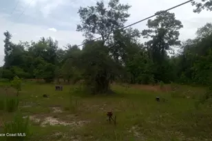 125 Moiser Ln, Melrose, FL 32666 - Photo 34