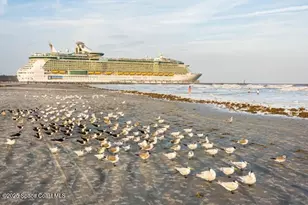 22 Tulip Ave, Cocoa Beach, FL 32931 - Photo 22