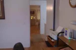 8705 Hibiscus Ct, Cape Canaveral, FL 32920 - Photo 42