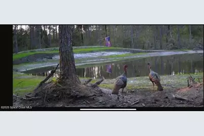 0000 Unknown, Mims, FL 32754 - Photo 30