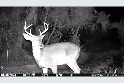 0000 Unknown, Mims, FL 32754 - Photo 18