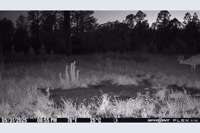 0000 Unknown, Mims, FL 32754 - Photo 20