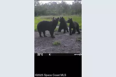 0000 Unknown, Mims, FL 32754 - Photo 24