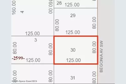 2184 Begonia Avenue, Palm Bay, FL 32908 - Photo 2