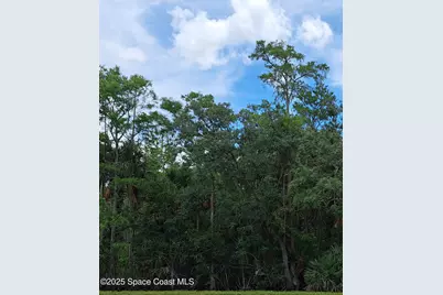 Unknown Balog Court N, Grant-Valkaria, FL 32949 - Photo 1