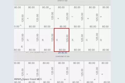 727 Sunshine Street SW, Palm Bay, FL 32908 - Photo 2