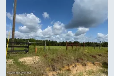 0 Walker Road, Bonifay, FL 32425 - Photo 2