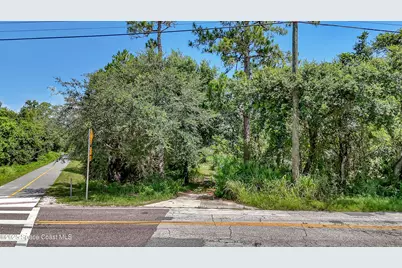 4300 Burkholm Road, Mims, FL 32754 - Photo 4