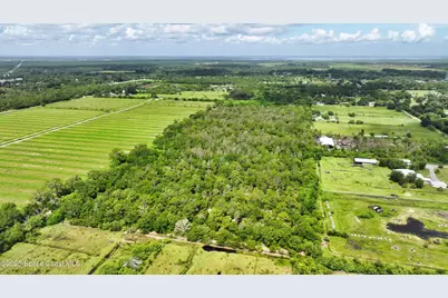 13380 101st Street, Fellsmere, FL 32948 - Photo 4