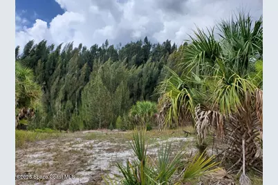 2345 Bolton Avenue SW, Palm Bay, FL 32908 - Photo 2