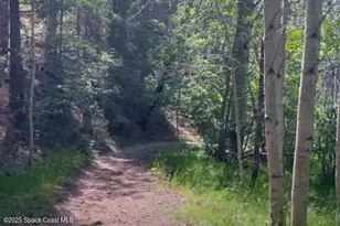 949 Altair Wy, Grant-Valkaria, FL 32950 - Photo 32