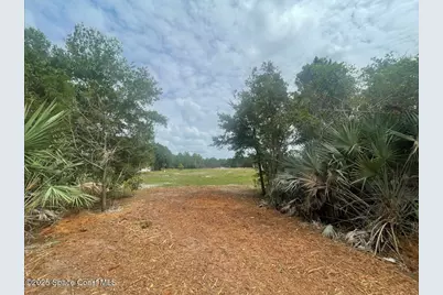 4660 Mount Pleasant Avenue, Grant-Valkaria, FL 32949 - Photo 6