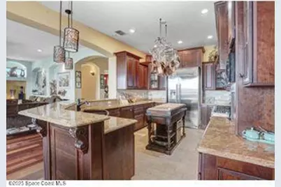 541 Treviso Drive, Apollo Beach, FL 33572 - Photo 10