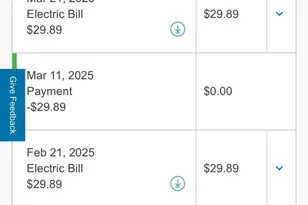 1121 Morgan Cir NE, Palm Bay, FL 32905 - Photo 100