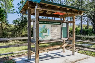 3891 Wren Pl, Titusville, FL 32796 - Photo 40