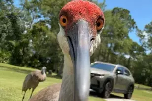 4094 Fox Lake Rd, Titusville, FL 32796 - Photo 32