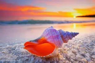 5635 Hwy A1A, Melbourne Beach, FL 32951 - Photo 82