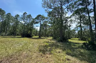 4300 Justa Rd, Mims, FL 32754 - Photo 36