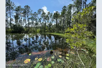 4300 Justa Road, Mims, FL 32754 - Photo 40