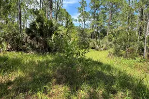 4300 Justa Rd, Mims, FL 32754 - Photo 44