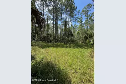 4300 Justa Road, Mims, FL 32754 - Photo 42