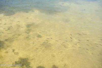 3745 Indian River Drive, Cocoa, FL 32926 - Photo 78