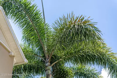 2003 Killian Drive, Palm Bay, FL 32905 - Photo 62