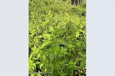 4235 Navel Street, Cocoa, FL 32926 - Photo 22