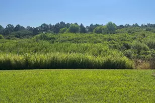 939 Remington Green Dr SE, Palm Bay, FL 32909 - Photo 32