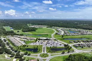 3479 Burrowing Owl Dr, Mims, FL 32754 - Photo 84