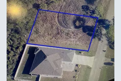 1313 Rabbit Street SE, Palm Bay, FL 32909 - Photo 1