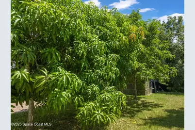 854 Dale Circle, Sebastian, FL 32958 - Photo 6