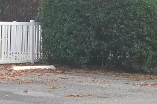 2097 Hidden Grove Ln, Merritt Island, FL 32953 - Photo 24