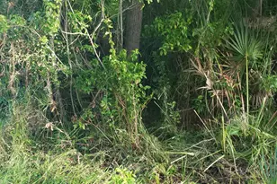 1462 Newfound Harbor Dr, Merritt Island, FL 32952 - Photo 1