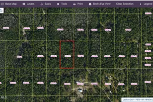 000 Holopaw Groves Rd, Saint Cloud, FL 34771 - Photo 1