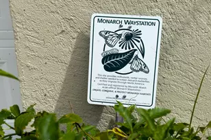 7081 Bayfront Rd, Cocoa, FL 32927 - Photo 28