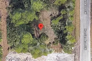 762 Harriet Ave SW, Palm Bay, FL 32908 - Photo 1