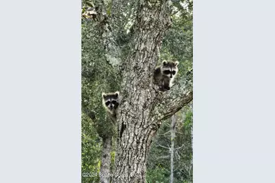 32801 N US Hwy 441 Lot 183 N, Okeechobee, FL 34972 - Photo 64