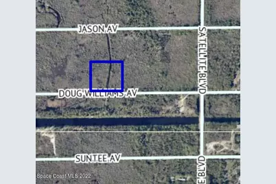 0000 Doug Williams Avenue, Cocoa, FL 32926 - Photo 2